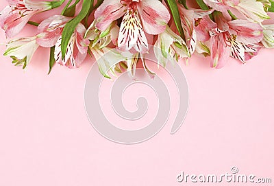 Beautiful pink rose and alstroemeria flowers in a top borderon coral paper Stock Photo