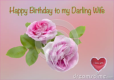 Beautiful pink roses birthday greetings card Stock Photo