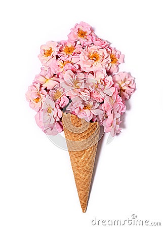 Beautiful pink roses in ice cream cone Stock Photo