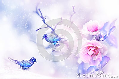 Beautiful pink roses and small purple and blue fantastic birds in the snow and frost. Artistic spring and winter natural image. Se Stock Photo