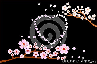 Love romance concept. Full bloom cherry blossoms and blowing/flying petals in heart shape; black background. Vector Illustration