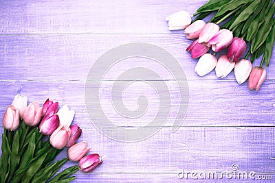 Easter and spring Stock Photo