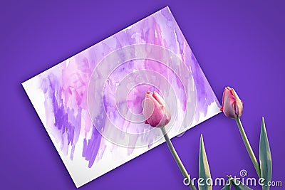 Beautiful pink tulips on a lilac background of a postcard Stock Photo