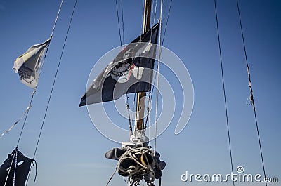 Beautiful pirate flag Stock Photo