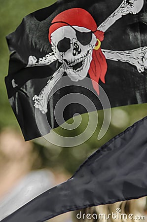 Beautiful pirate flag Stock Photo