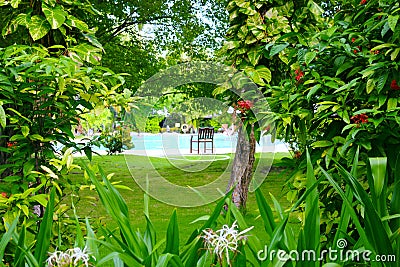 Picturesque Garden with Pool and Wooden Armchair in the Center Stock Photo