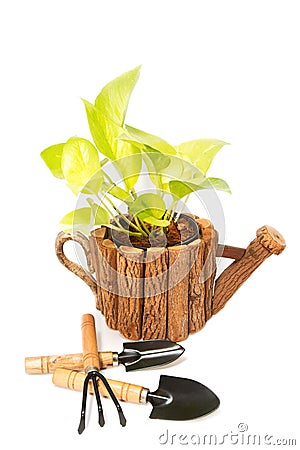 Beautiful plant in a flowerpot and garden tools Stock Photo