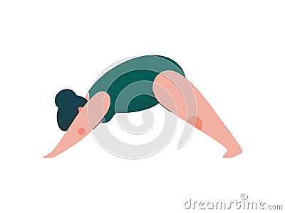 Beautiful Plus Size Curvy Woman in Adho Mukha Svanasana Position, Plump Girl in Swimsuit Practicing Yoga, Sport and Vector Illustration