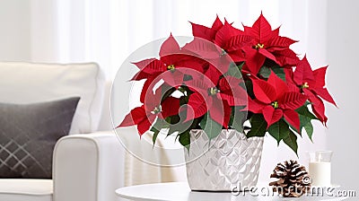 Beautiful poinsettia and gift box on white table in stylish living room interior. ai generative Stock Photo