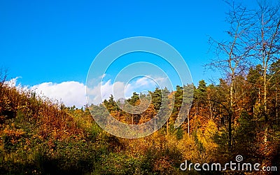 Beautiful Polish golden autumn Stock Photo