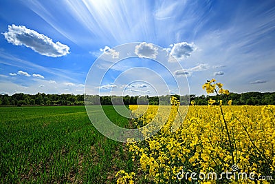 Beautiful Polish landscape Stock Photo