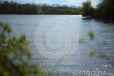 Wooden ladder, wooden bridge, Pond river pond nature sky in reflection. reflections in water, Lake View Stock Photo