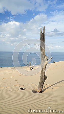 Beautiful Portrait Clouds Sand And Sea Stock Photo