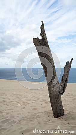 Beautiful Portrait Clouds Sand And Sea 3 Stock Photo