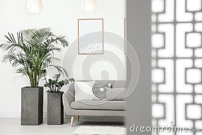 Beautiful potted plants in living room Stock Photo