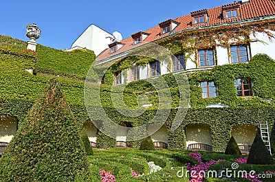 Beautiful Prague house with ivy Stock Photo