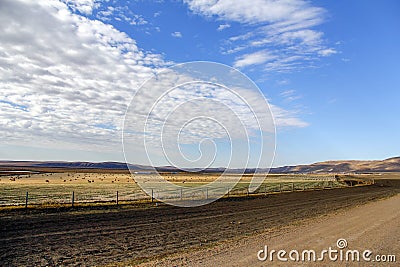 Beautiful prairie yellow green plateau meadow Stock Photo