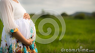 Beautiful Pregnant Asian Woman in Rice Field Stock Photo