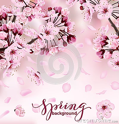 Beautiful print with blossoming dark and light pink sakura Vector Illustration