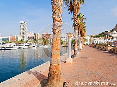 Beautiful promenade in Alicante. View of palm trees and port. Spain Editorial Stock Photo