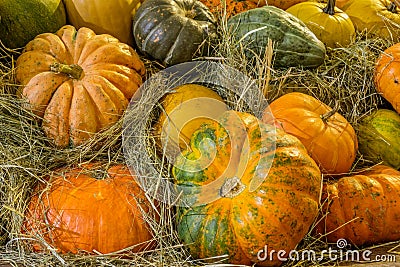 Beautiful pumpkins different sizes on the hay Stock Photo