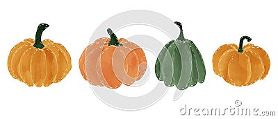 Beautiful pumpkins on isolated white background. Autumn set of elements on isolated white background. Watercolor illustration. Vector Illustration