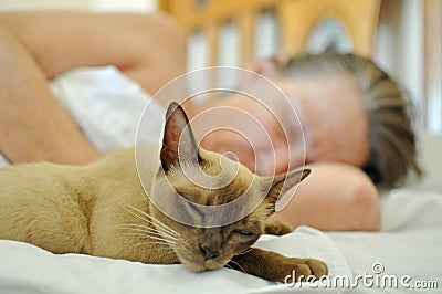 Pet cat sleeping on bed with mature older woman Stock Photo