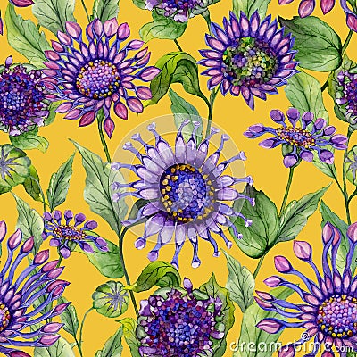 Beautiful purple African daisy flowers with green leaves on yellow background. Seamless bright floral pattern. Watercolor painting Cartoon Illustration