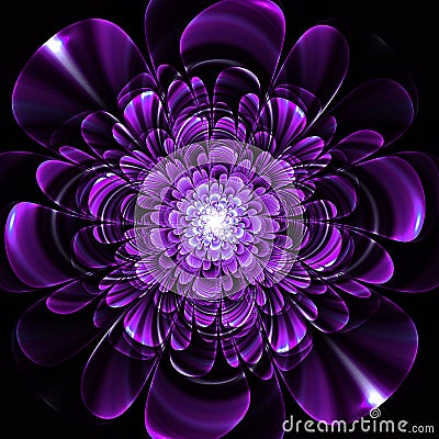 Beautiful purple flower on black background. Computer generated Stock Photo