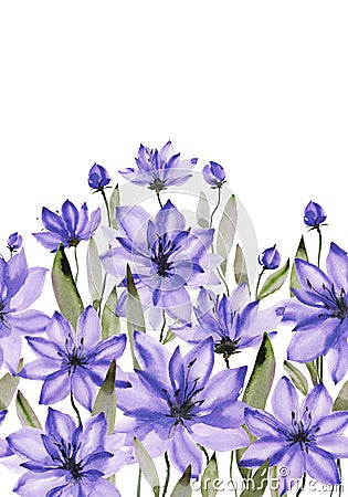 Beautiful purple flowers with green stems and leaves on white background. Seamless floral pattern. Watercolor painting. Cartoon Illustration