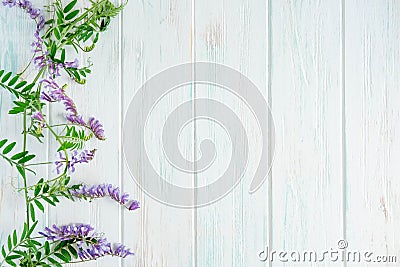 Beautiful purple flowers on a white wooden background with space for a congratulatory inscription. Frame for greeting banner, Stock Photo