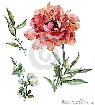 Beautiful purple peony flower on a stem with green leaves. Set flower and bud isolated on white background. Watercolor painting. Cartoon Illustration