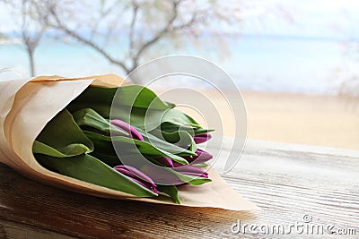 Beautiful purple tulips Stock Photo