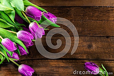 Beautiful purple tulips on dark rustic background Stock Photo