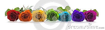 Beautiful Rainbow Colored Row of Roses Stock Photo