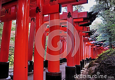 A beautiful range of traditional temple gates in a Japanese temple. Autumn background. Autumn garden Stock Photo