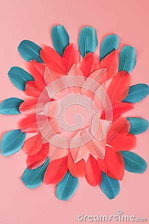 Beautiful Real feathers trend color living coral and blue on pink background closeup. Color of the year 2019 Stock Photo