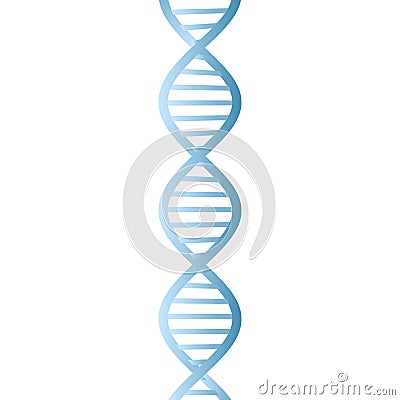 Beautiful realistic DNA blue colored double helix on white background Vector Illustration