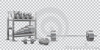 Realistic fitness vector on transparent background of an olympic barbell, steel dumbbels and a storage shelf with barbell plates Vector Illustration
