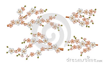 Beautiful realistic sacura branch with blooming flowers and buds. Spring cherry blossom Vector Illustration