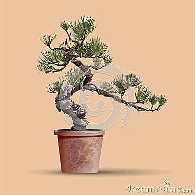 Beautiful realistic tree.Tree in bonsai style. Bonsai tree with unusual twisted trunk on the low round pot. Decorative Vector Illustration