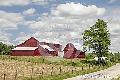 Beautiful Red Barns in the Indiana Countryside Stock Photo