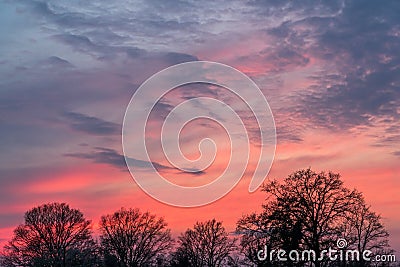 Red and blue sky with silhouettes of trees in the forground after sunset Stock Photo