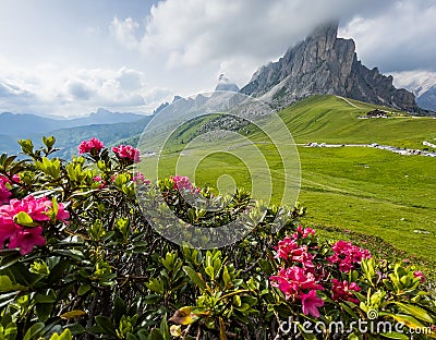 Beautiful red flowers blossom with early morning Dolomites Alps mountain landscape photo. Giau Pass or Passo di Giau - 2236m Stock Photo