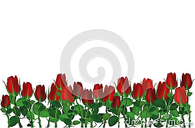 Beautiful red flowers. Roses. Empty space for your ad or inscriptions or messages. Cartoon Illustration