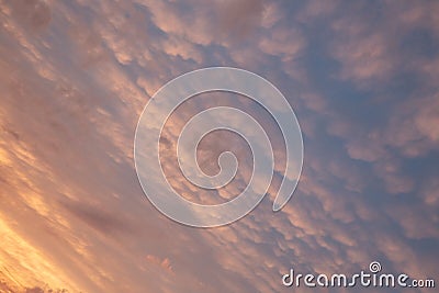 Beautiful red, pink. blue unusual feather clouds against the sky in sunrise, sunset, climate change, global warming Stock Photo