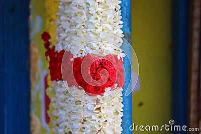 Beautiful red roses and white jasmine flowers close up garland in street market Stock Photo