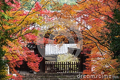 Beautiful reds, golds, and orange leaves adorn the gate of a temple. Stock Photo