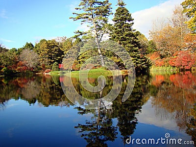 Lake and trees in Asticou Azalea Garden, Maine Stock Photo