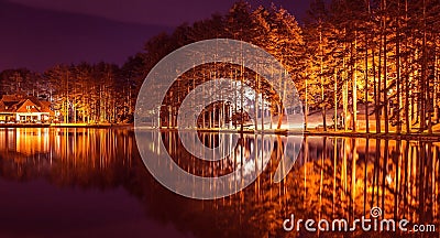 Beautiful reflection forest in Zlatibor lake Stock Photo